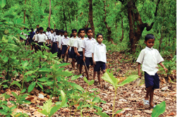 A headmaster and his students save a forest