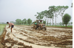 Punjab`s depleting groundwater stagnates agricultural growth