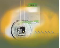 Evolution faster in temperate zones than tropics  