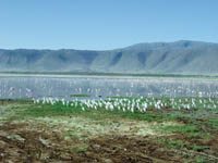 Protest against plant near Tanzania`s Lake Natron  