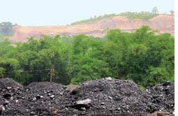 Open cast mining threatens Assam  