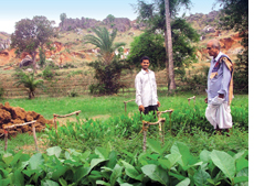 Orissa villagers protect forest, reap benefits