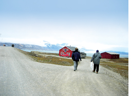 Indian scientists return with rare plant samples from Arctic  