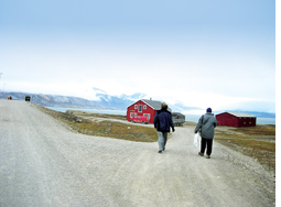 Indian scientists return with rare plant samples from Arctic  