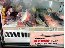 Japanese council members protest serving of dolphin meat in schools  