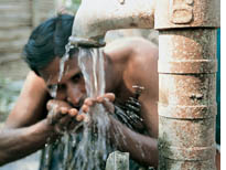 Arsenic levels rising in Bihar  