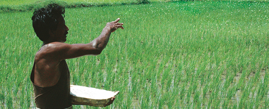 Centre debates remodelling fertiliser subsidy  