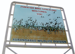 Protest against eco sensitive tag for Maharashtra bird sanctuary  