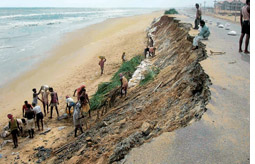 Illegal buildings trigger erosion, threaten Puri beach  