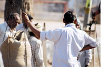 India bans export of non basmati rice  