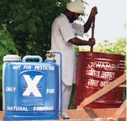 Punjab`s spiritual farming  