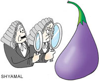 Supreme Court criticized for giving clearance to Bt Brinjal  