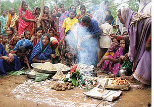 Sal and siali leaves  sustaining tribal Orissa  