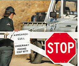 Protest over culling of kangaroos in Australia