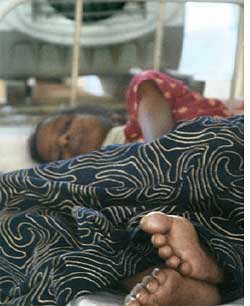 TB bacteria use iron to survive

