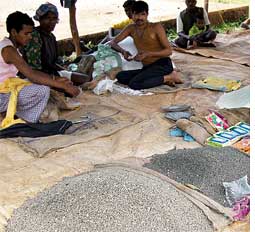 Maharashtra revokes ban on popular lentil
