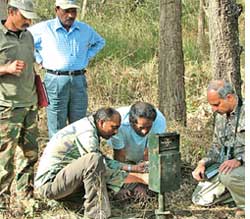 Counting large mammals