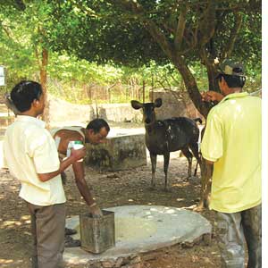 Nandan Kanan gets health cover
