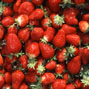 Pesticide residues in strawberries: surveyed in 2008