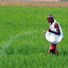 Fertilizer subsidy in India: who are the beneficiaries?