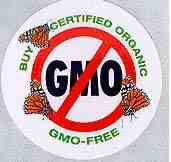 Labeling genetically modified food in India