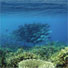 State of the marine environment report for the East Asian seas 2009