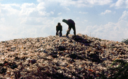 Report of the committee to evolve road map on management of wastes in India 