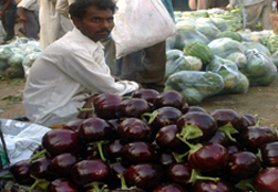 The survey on GE foods 