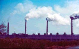 Carbon Disclosure Project Report 2008: India 200