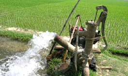 Revitalizing Asias irrigation: to sustainability meet tomorrows food needs