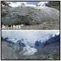 Global glacier changes: facts and figures