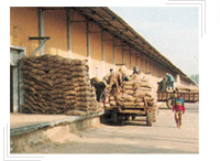 Draft National Food Security Bill, 2010