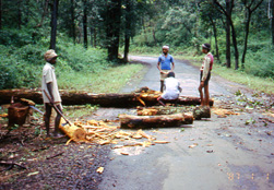 Conflict and coexistence in a national park