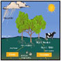 A unifying framework for dinitrogen fixation in the terrestrial biosphere