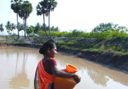 Mixed picture on human development West Bengal releases three District Human Development Reports: Press Release