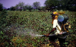 Communities in peril: global report on health impacts of pesticide use in agriculture