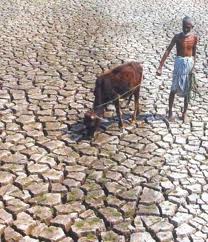 Climate change and India: a 4x4 assessment - a sectoral and regional analysis for 2030s