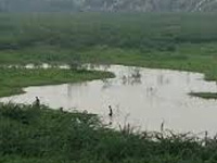 Badkhal lake in Faridabad on way to revival