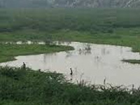 IISC Report - Oxygen, pH levels high in Devarabeesanahalli lake