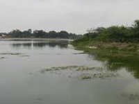 Fish die as BDA, BBMP turn a blind eye