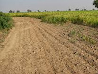 Mizoram has the highest number of landless farmers