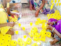 Tribal women turn entrepreneurs of green energy