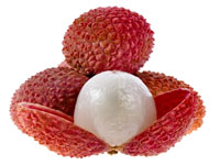 Toxin makes litchi lethal, especially for kids: Study