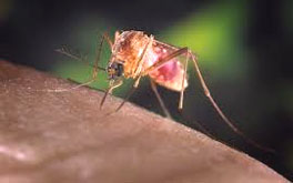 Defeating malaria in Asia, the Pacific, Americas, Middle East and Europe