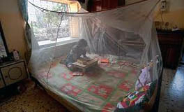 World malaria report 2012