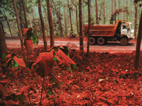 SAIL, Jharkhand govt had opposed Centre's Saranda forest mining plan