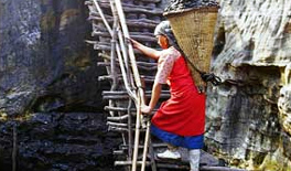 The Meghalaya Mines and Minerals Policy, 2012