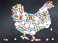CSE welcomes new draft order to curb the use of antibiotics in animals like chicken