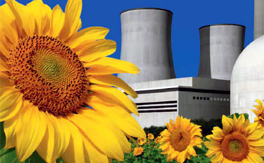 The world nuclear industry status report 2013