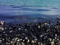 Polluter says Chennai oil spill clean-up and restoration over but residue very much visible